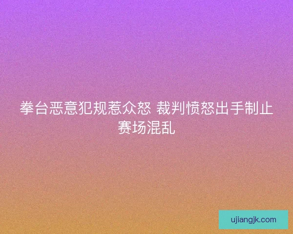 拳台恶意犯规惹众怒 裁判愤怒出手制止赛场混乱
